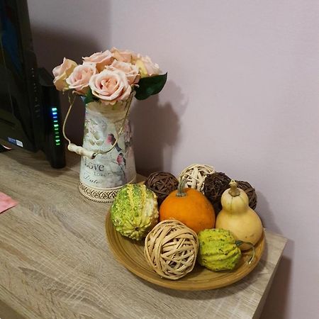 Studio Apartman Ld U Strogom Centru Novi Sad Exteriér fotografie