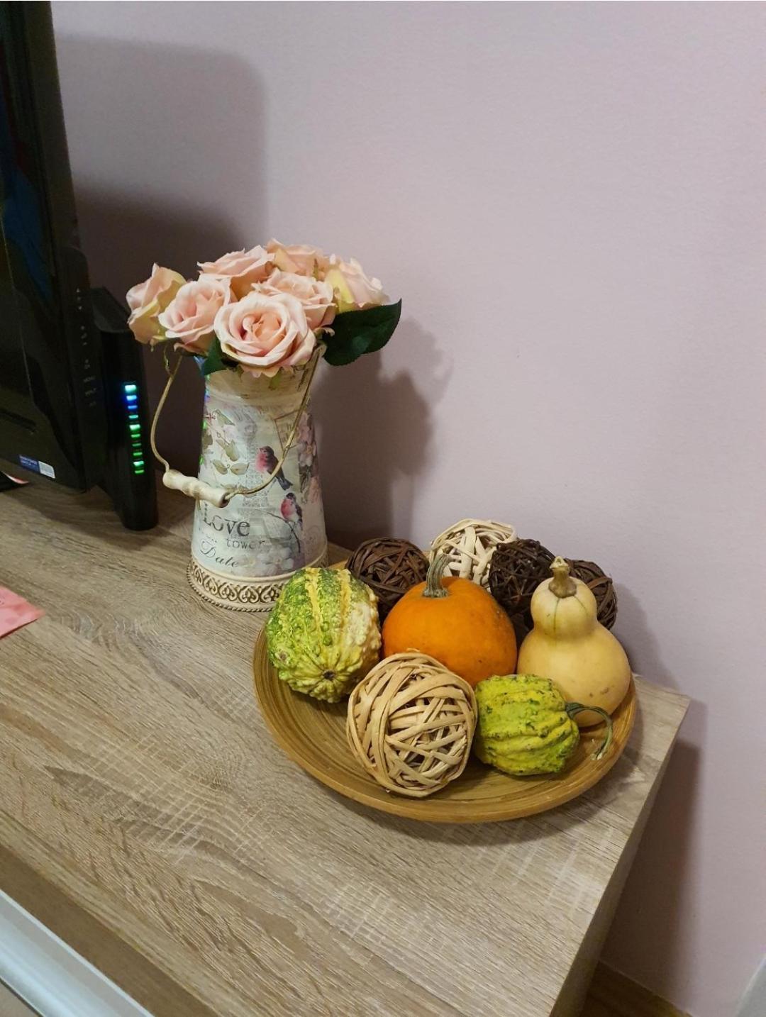 Studio Apartman Ld U Strogom Centru Novi Sad Exteriér fotografie