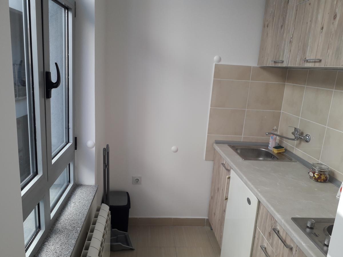 Studio Apartman Ld U Strogom Centru Novi Sad Exteriér fotografie